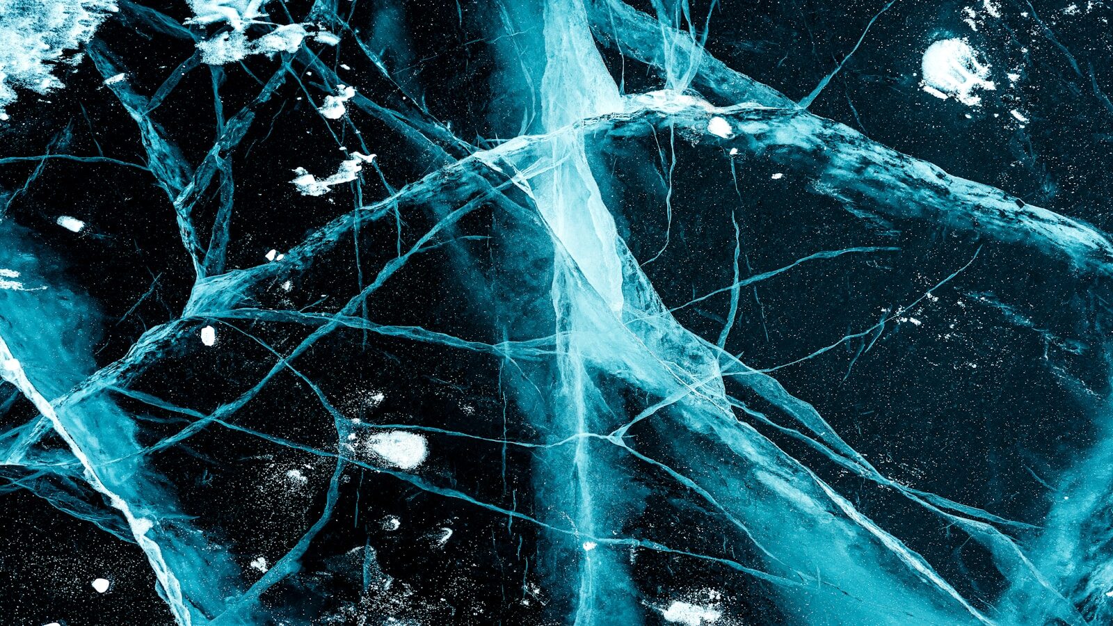 blue and white abstract painting that looks like the nervous system with  neurons or nerve cells